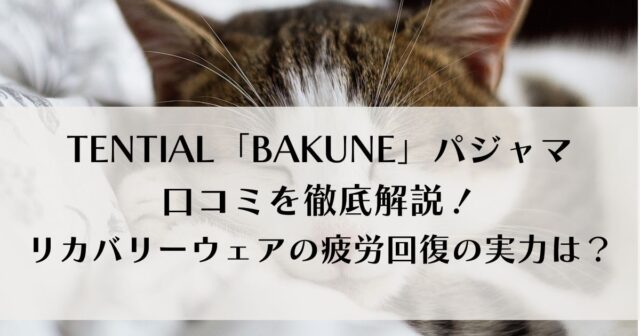 BAKUNE口コミ